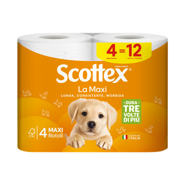 Scottex la Maxi Carta...