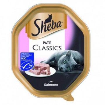 Sheba Paté Classics Con...