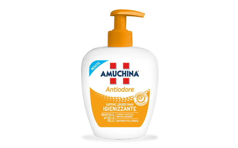 Amuchina Sapone Liquido Antiodore 250 Ml